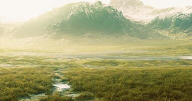 CGI Serene landscape of mountains and meadows under golden sunlight video