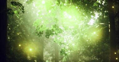 CGI Lush forest scene filled with soft light and shimmering particles at dusk video