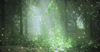 CGI Enchanted forest illuminated by glowing fireflies at dusk video