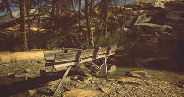 CGI Wooden structure near a calm body of water surrounded by palm trees video