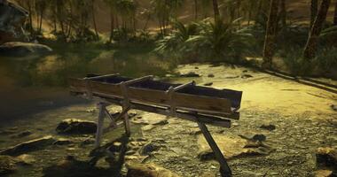 CGI Wooden canoe stand near a serene riverbank in a tropical environment video