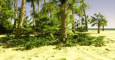 CGI Lush tropical landscape with palm trees near a serene beach setting video