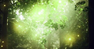 cgi exuberante vegetação brilhando dentro uma místico floresta às alvorecer com mágico luzes video