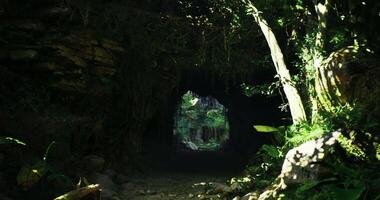 CGI Entrance to a lush green cave surrounded by vibrant foliage and sunlight video