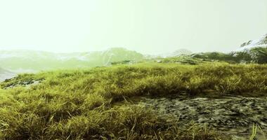 CGI Scenic view of a grassy landscape under a bright sky with distant mountains video