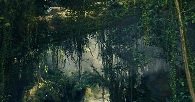 CGI Lush tropical rainforest with cascading vines and soft light filtering through video