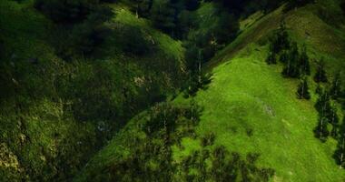 CGI Lush green valley with dense forested hills during bright daylight hours video