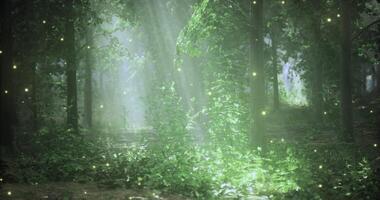 CGI Mysterious forest with glowing plants and soft light during twilight video