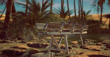 CGI Weathered wooden trough near a tranquil oasis surrounded by palm trees video