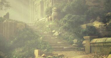 CGI Mysterious mist envelops ancient stone staircase in overgrown garden video