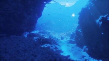 CGI Underwater exploration in a vibrant marine environment with coral formations video
