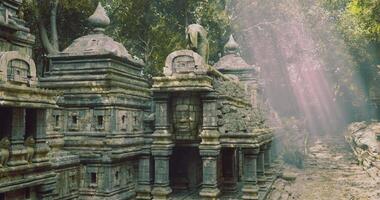 CGI Ancient temple ruins surrounded by mist in a dense forest landscape video