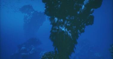 CGI Exploring an underwater landscape filled with unique rock formations at dusk video