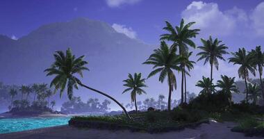 CGI Colorful beach landscape with palm trees and mountain at dusk video