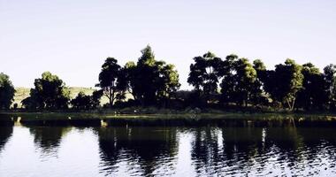 CGI Peaceful lake reflecting trees under clear sky at dusk video