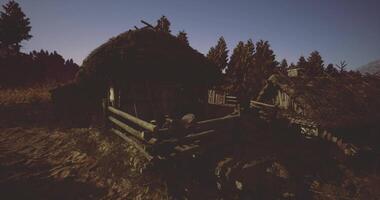 CGI Rustic cabin in a quiet forest at dusk surrounded by trees video