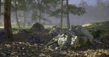 CGI Natural landscape with rocks and trees during early morning fog video