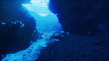 CGI Exploring a tranquil underwater landscape with sunlight filtering through video