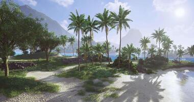 CGI Serene tropical landscape with palm trees and a tranquil sea view video