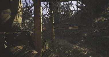 CGI Winding path through an overgrown forest at dusk near a wooden structure video