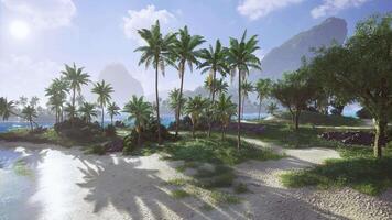 CGI Tropical beach with palm trees under a bright sky in a serene landscape video