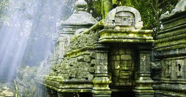 CGI Ancient stone ruins hidden in the lush jungle, illuminated by soft sunlight video