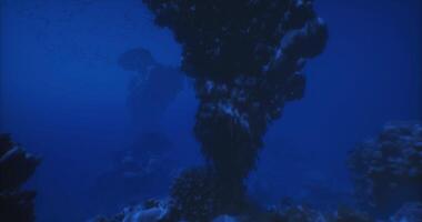 CGI Exploring vibrant underwater life near a coral reef at twilight video