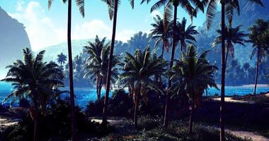 CGI Tropical paradise with palm trees and ocean view at a serene beach video