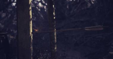 CGI Archery practice in a dense forest with an arrow hitting a wooden target video