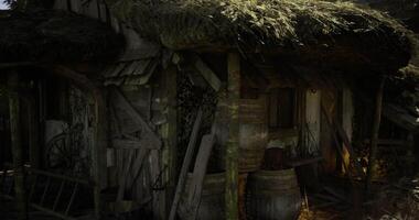CGI Old rustic wooden cabin with thatched roof and barrels in a forest video