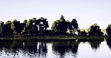 CGI Serene lakeside view with lush trees reflecting in calm water video
