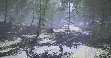 CGI Winding road through a foggy forest setting in early morning light video