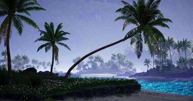 CGI Tropical shoreline with leaning palm trees at twilight under a cloudy sky video