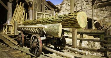 CGI Wooden cart carrying logs at an old rustic settlement in daylight video