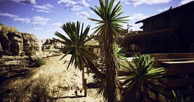 CGI Desert view with unique plants and rustic buildings in remote area video