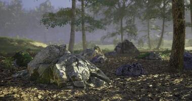 CGI Natural landscape featuring large rocks and trees in a tranquil forest setting video