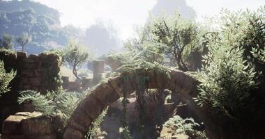 CGI Ancient stone arch with lush greenery in a serene landscape setting video
