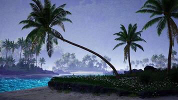 CGI Serene tropical landscape with palm trees and calm ocean at twilight video