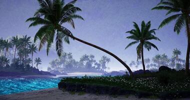 CGI Serene tropical beach with palm trees at dusk featuring vibrant ocean waves video