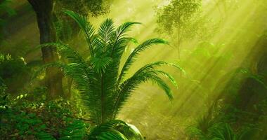 CGI Dense green foliage illuminated by sunlight in a vibrant rainforest habitat video