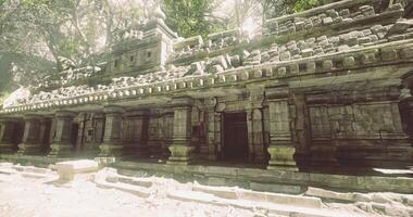 CGI Ancient temple ruins surrounded by lush greenery in a serene environment video