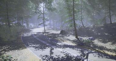 CGI Winding road through a foggy forest with dappled sunlight video