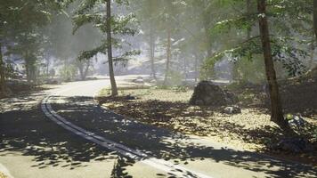 CGI Scenic winding road through a tranquil forest setting during daylight hours video