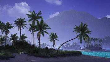 CGI Scenic tropical landscape with palm trees and azure water during dusk video