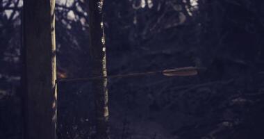 CGI Archers precision displayed as arrow strikes target in forest setting video