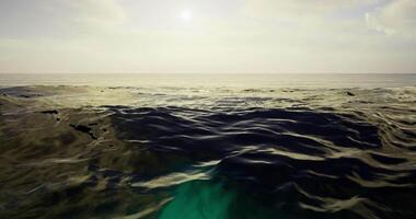 CGI Serene ocean view with gentle waves and warm sunlight at dusk video