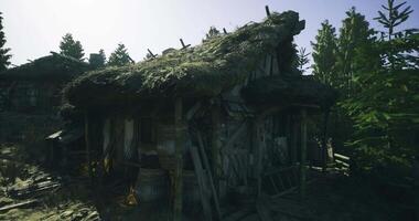 CGI Old rustic cabin in a forest with thatched roof during daytime video