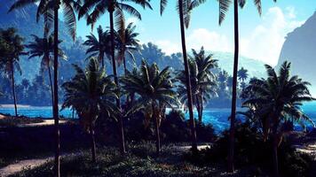 CGI Lush tropical landscape with palm trees by the ocean at dawn video