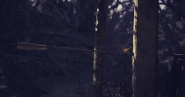 CGI Arrow strikes a tree during target practice in a wooded area video
