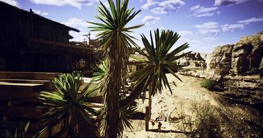 CGI Desert landscape featuring unique plants and rustic structures under blue sky video